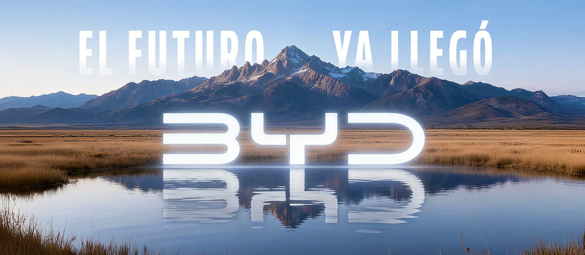 BYD ARGENTINA