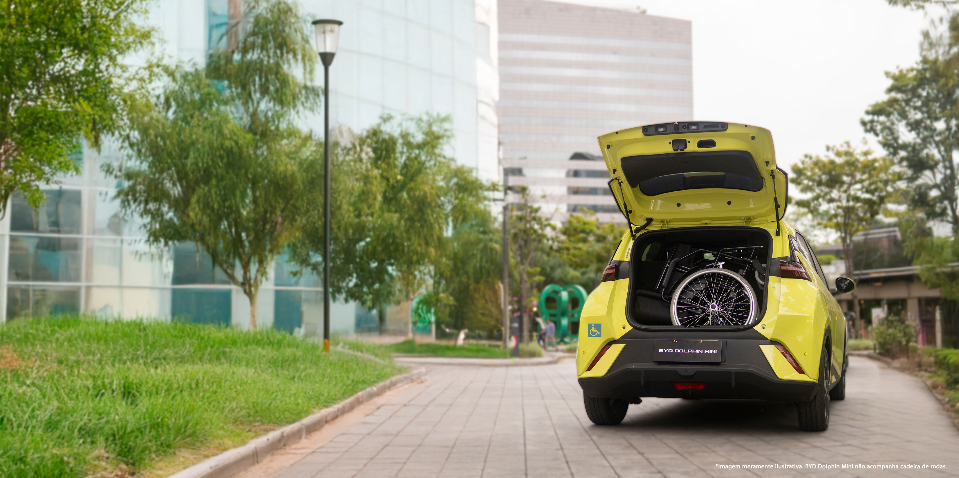 BYD Dolphin Mini PCD