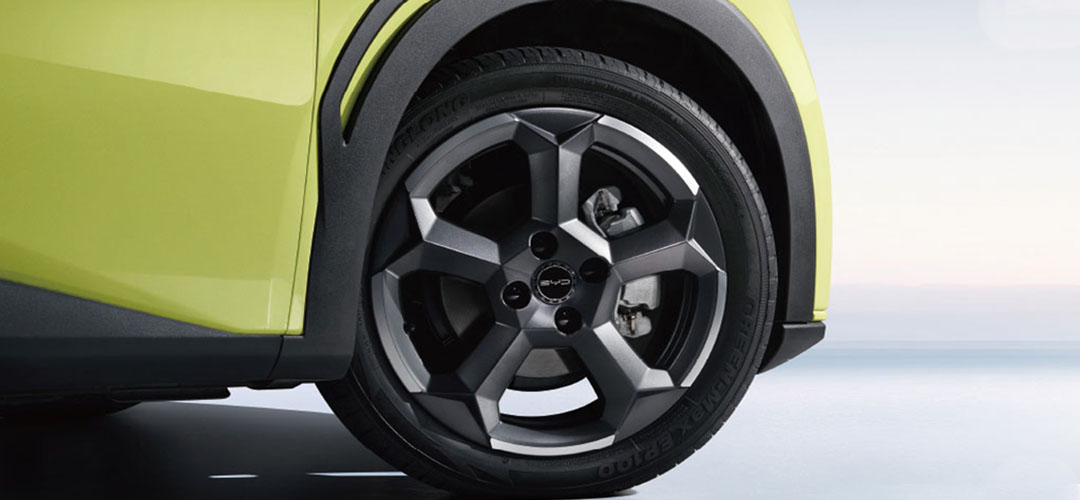 BYD Dolphin Mini Freio a Disco