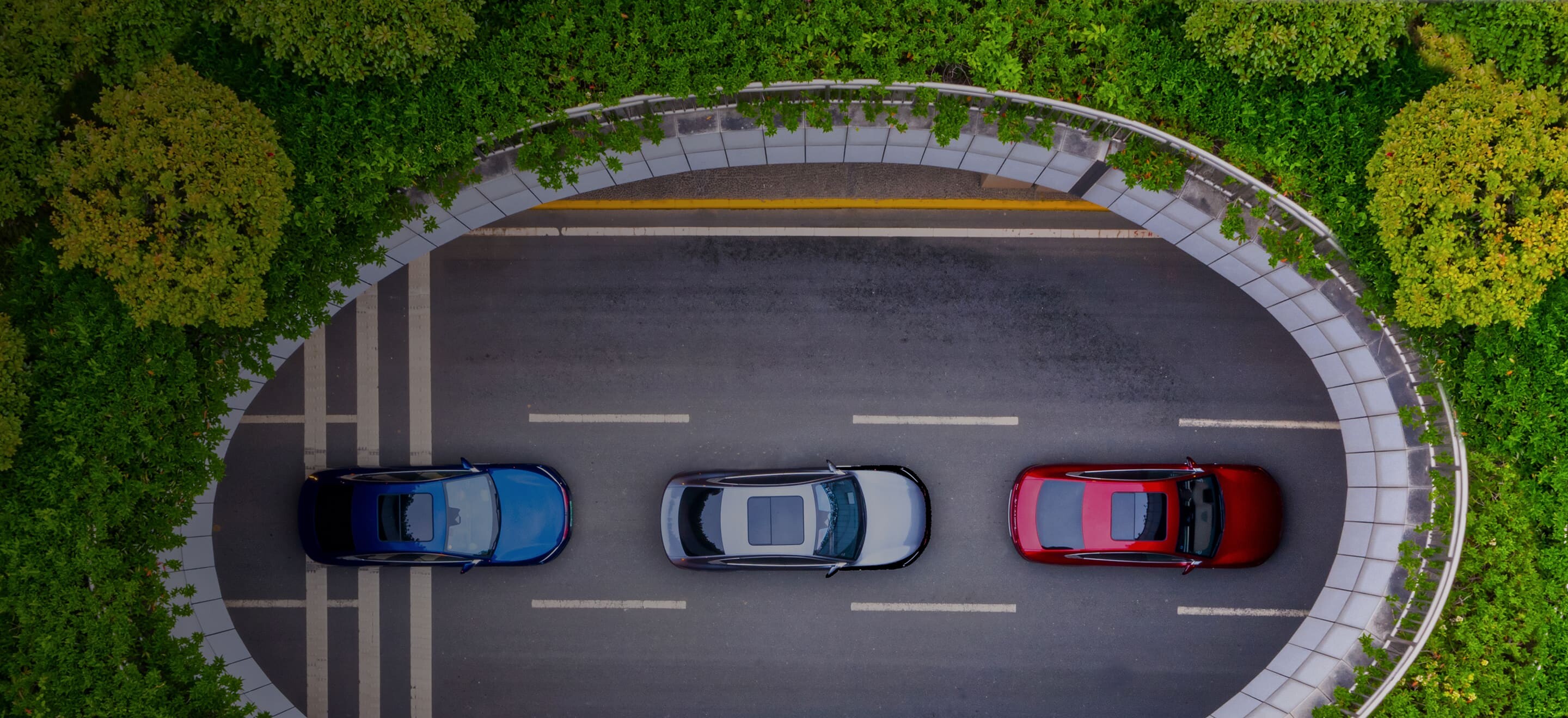 Contact BYD AUTO contact-byd-auto