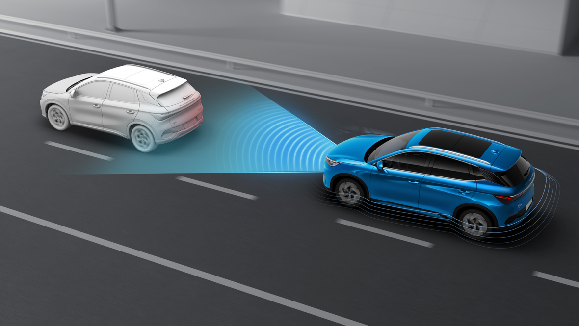 Domina cada movimiento