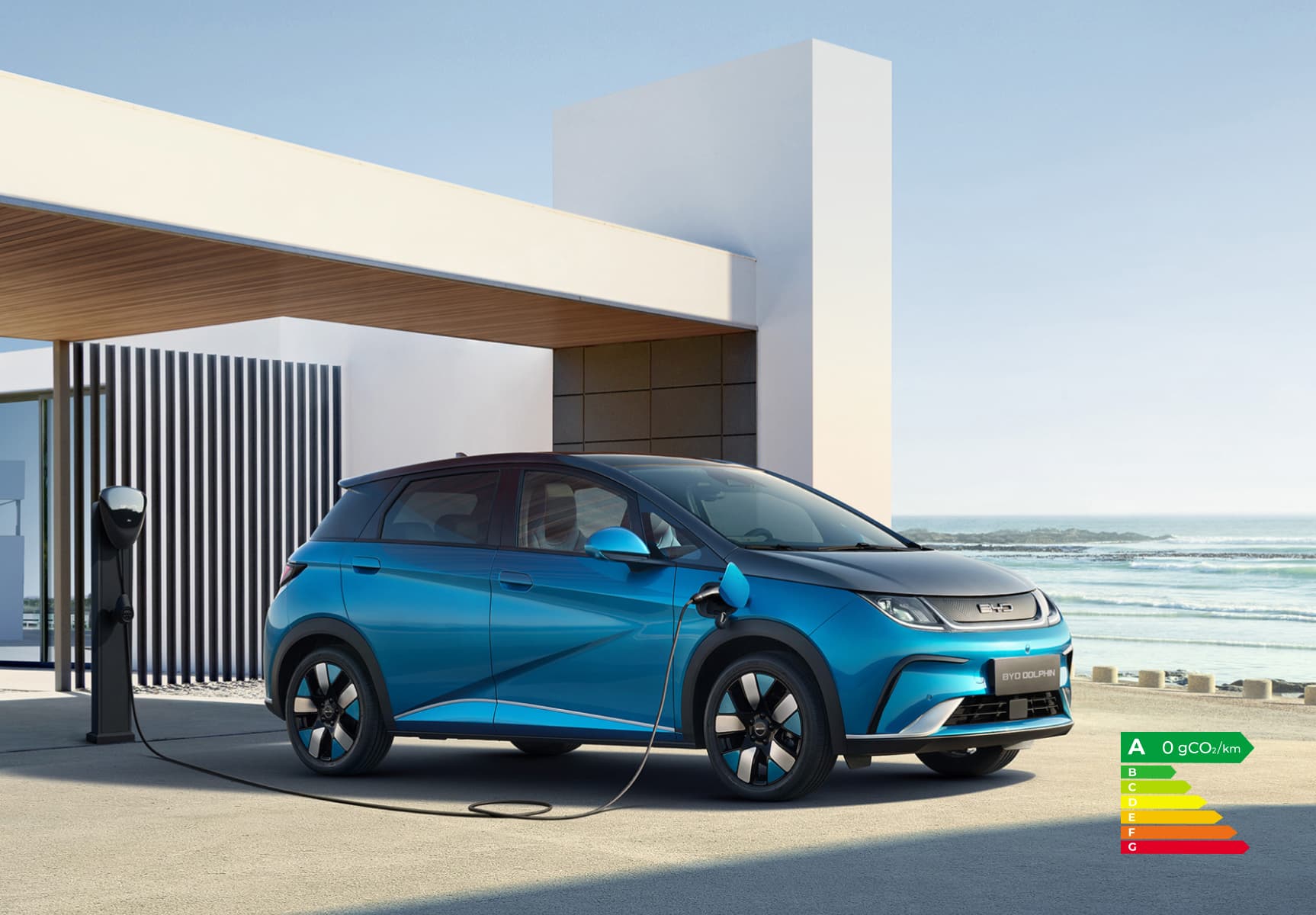 Image of Byd Dolphin