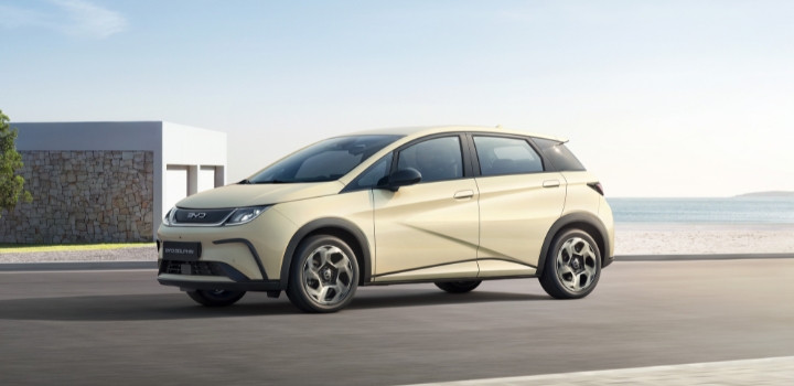 BYD Renting Business. Da 379€ al mese