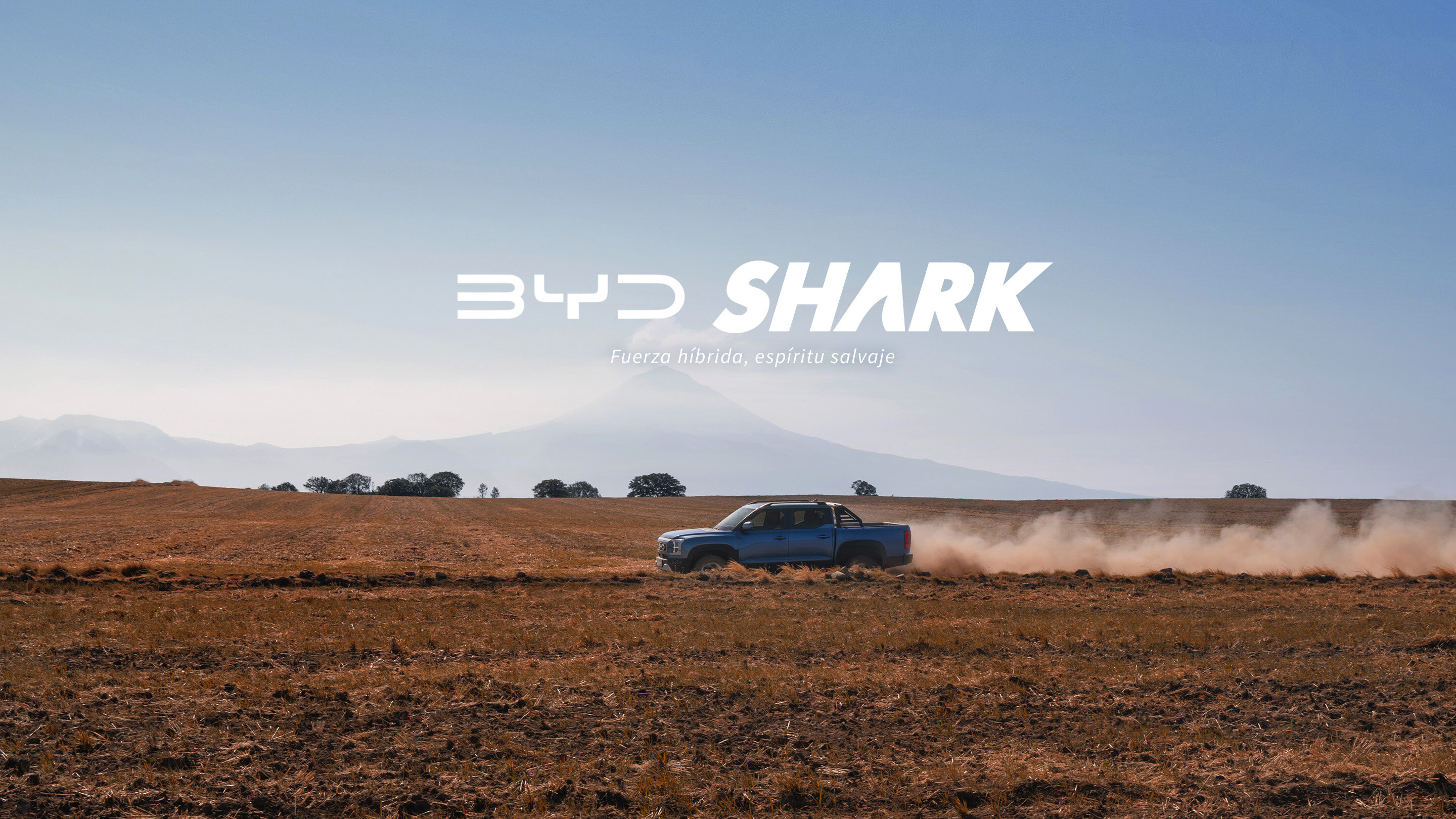 BYD SHARK
