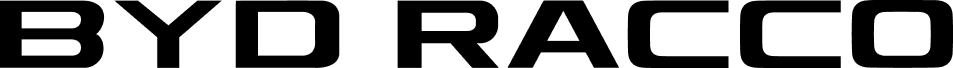 BYD RACCO