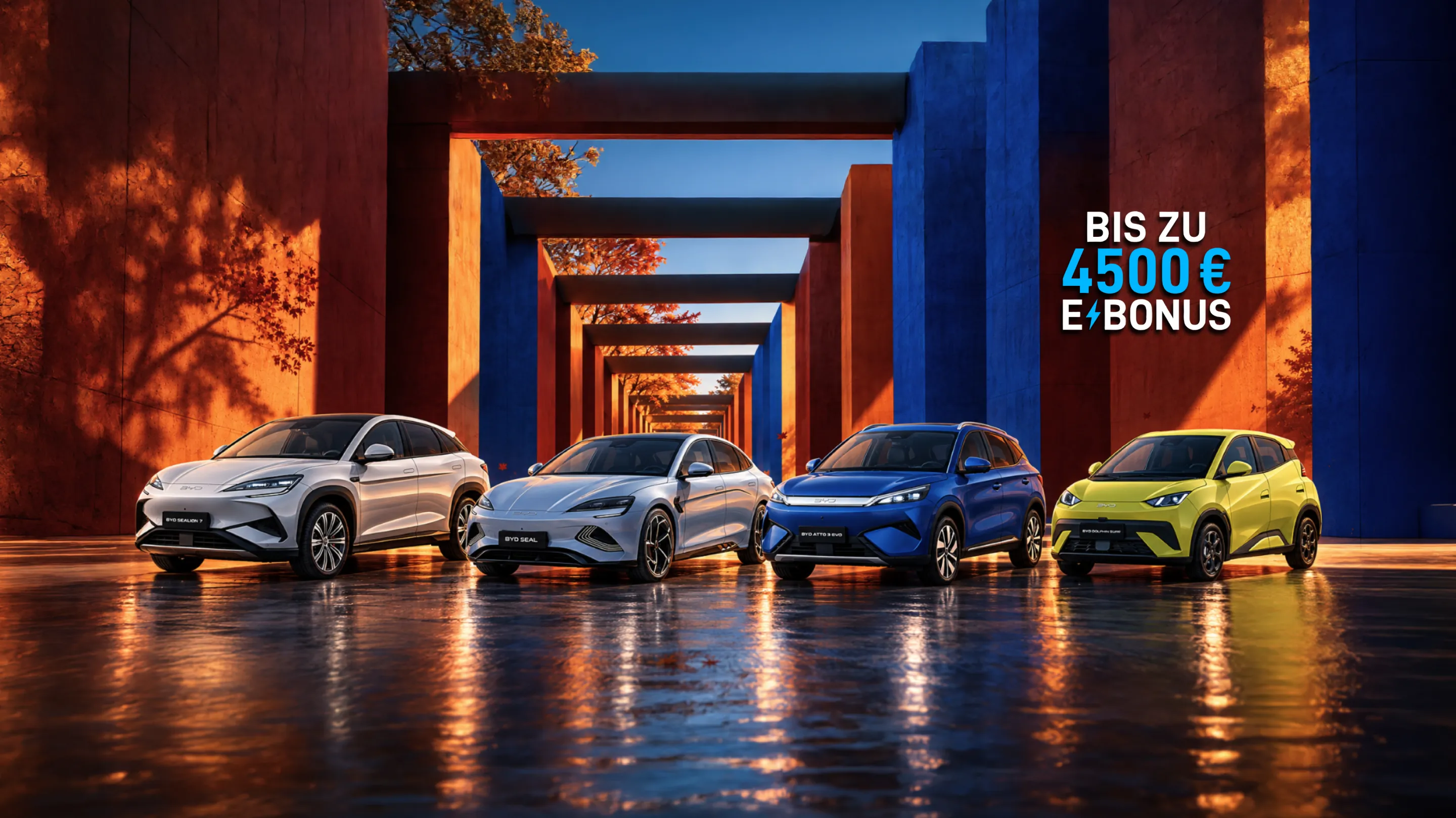 BYD Herbst Promo Q4 2026