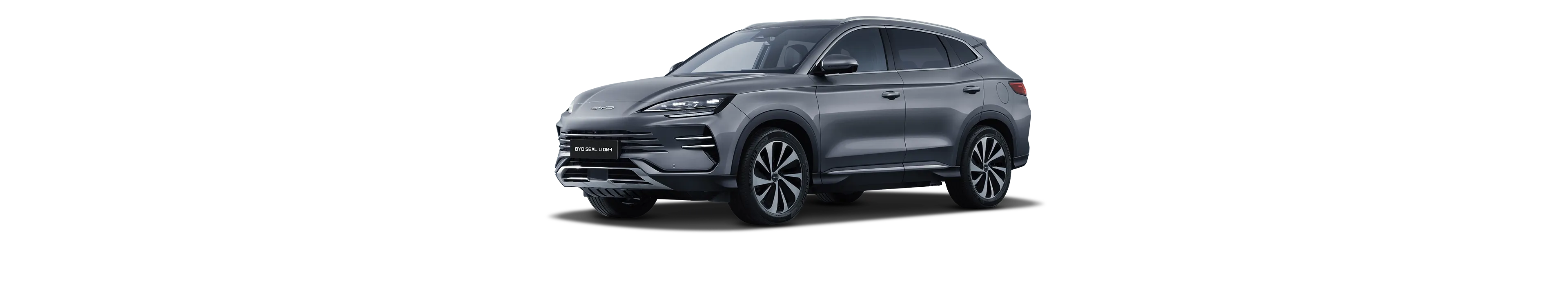 BYD DOLPHIN SURF car