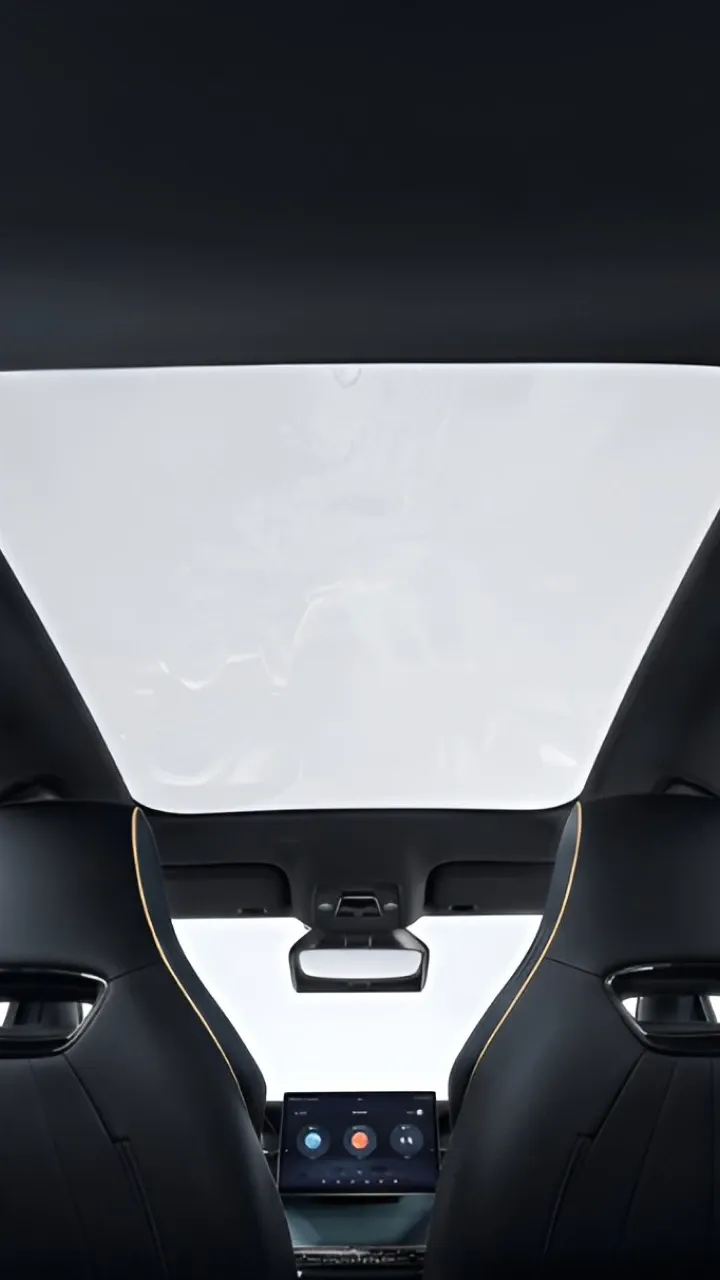 BYD DOLPHIN Panoramadach
