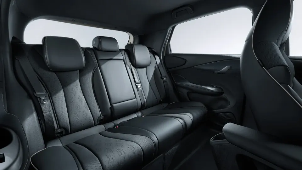 BYD DOLPHIN Ergonomische Sitze 