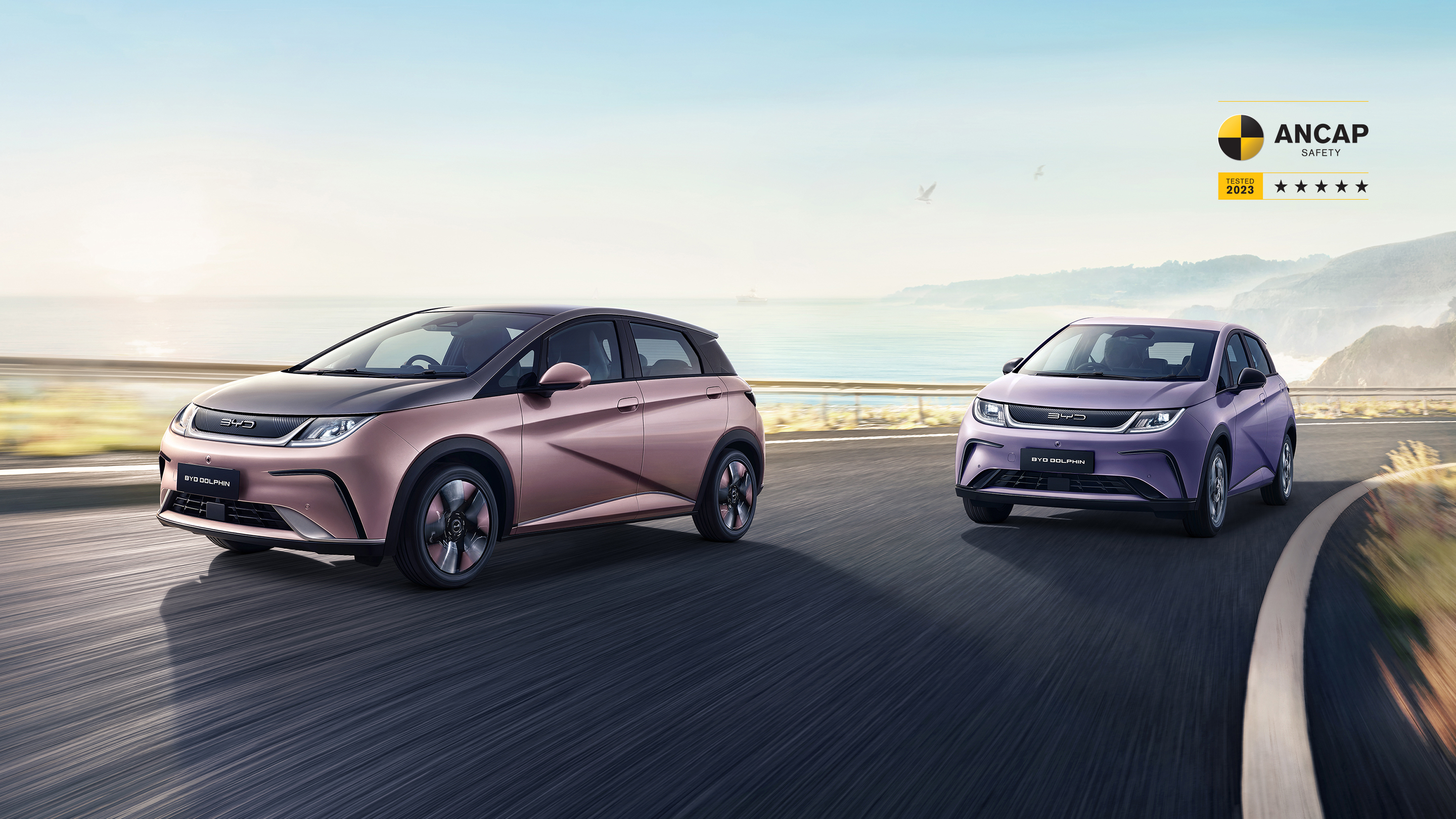 BYD DOLPHIN