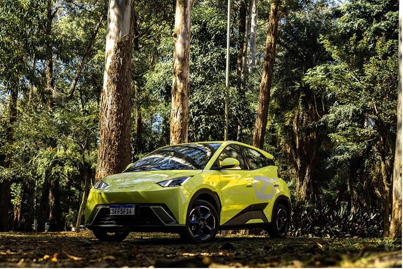 BYD Plante uma árvore