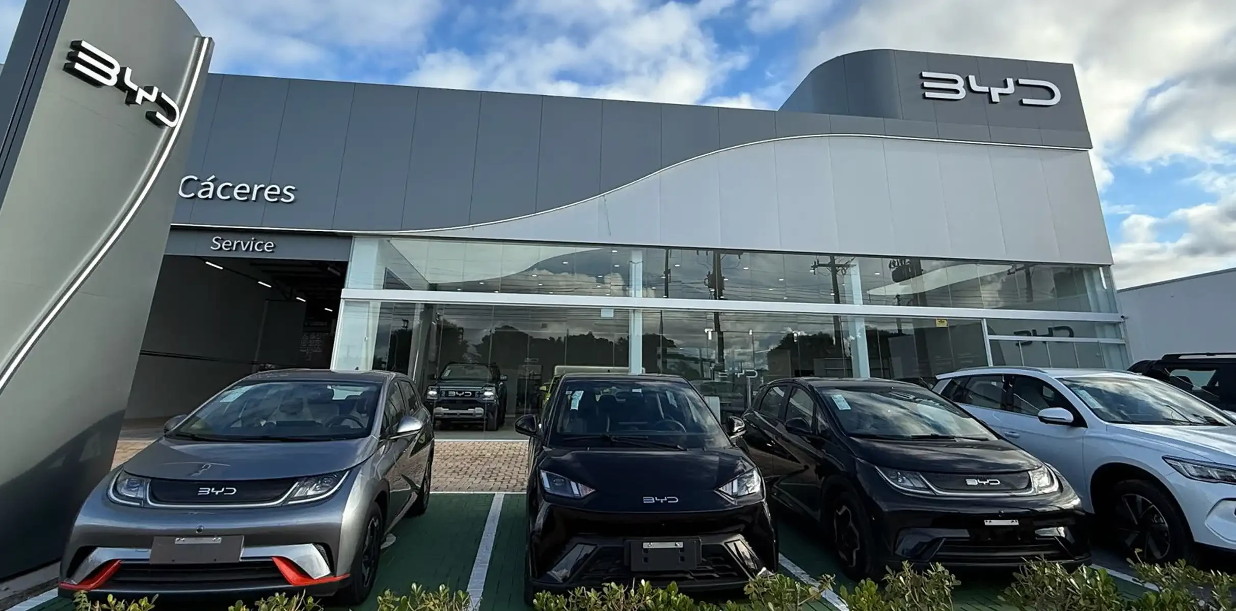 BYD Rede Concessionários