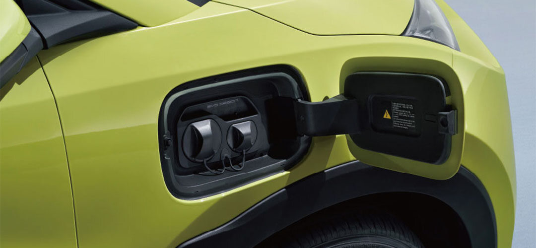 BYD Dolphin Mini eficiência energética