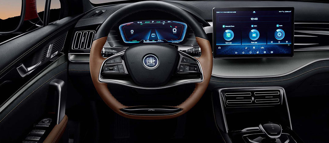 byd tan painel display