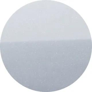 Skiing White