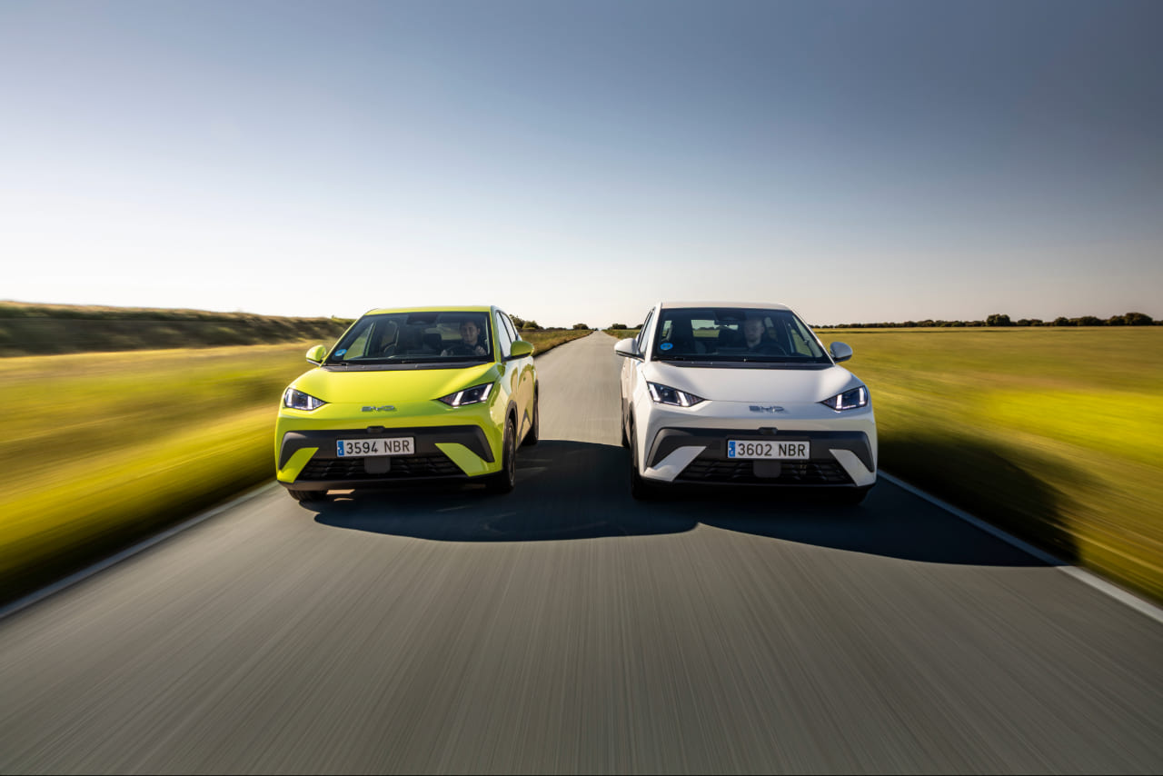 Dolphin Surf Lime green y Apricity white