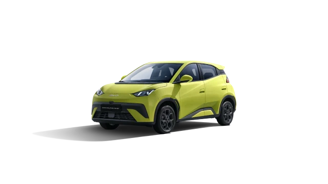 Byd Byd Dolphin Surf