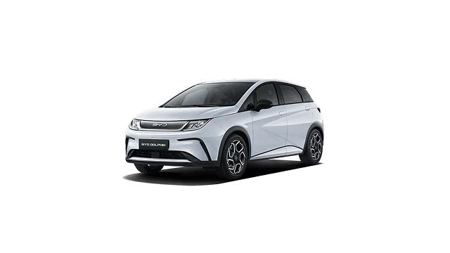 Byd Byd Dolphin