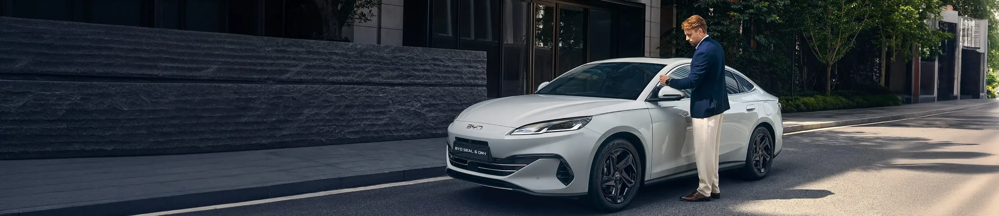 Intérieur véhicule BYD en promotion