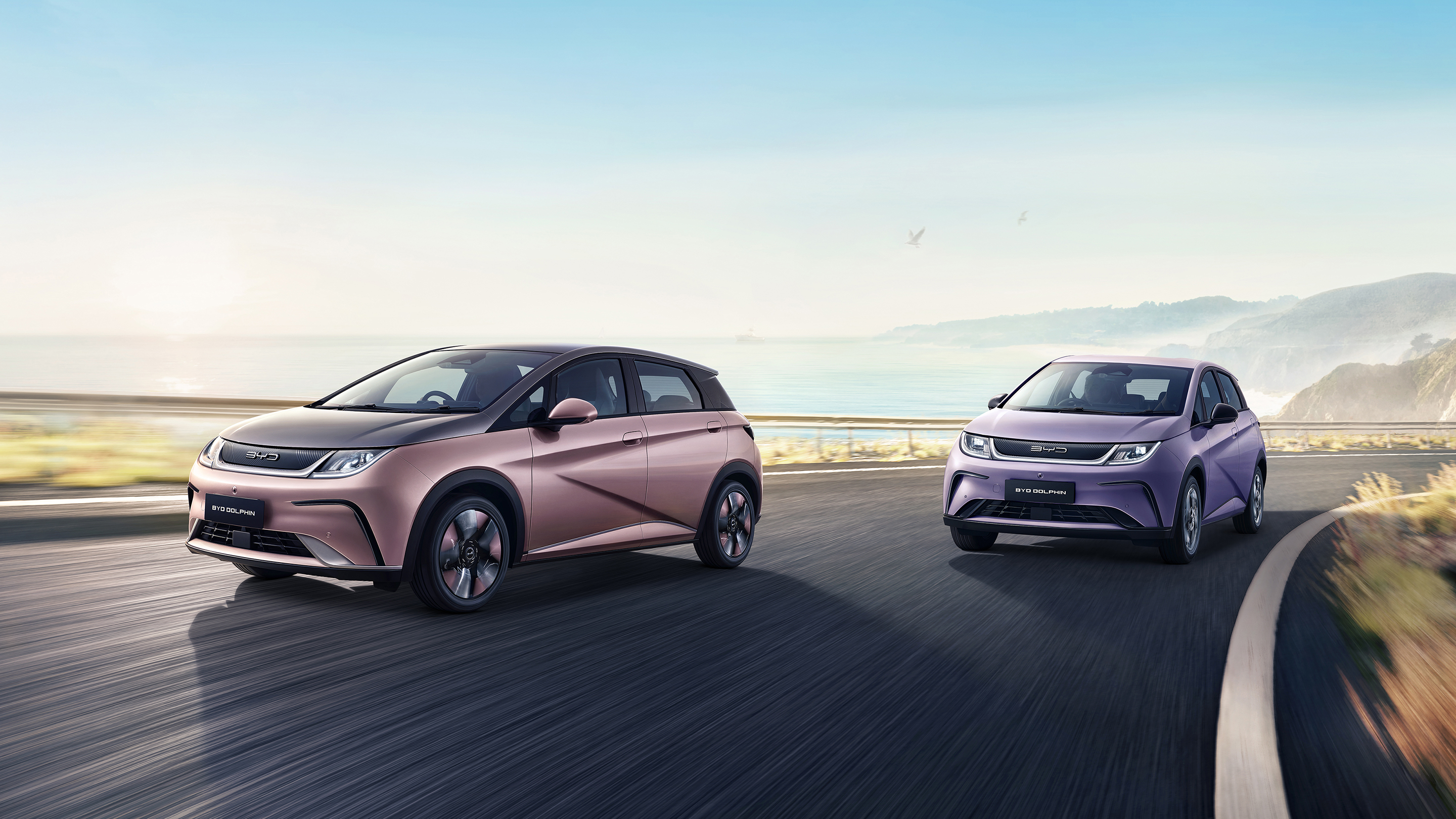 BYD DOLPHIN