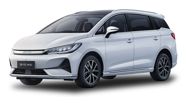 BYD M6