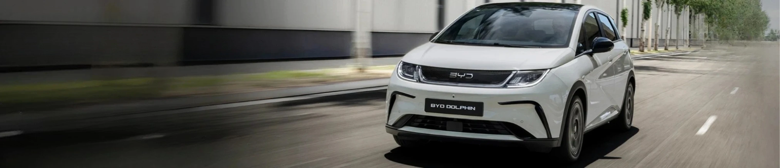 BYD DOLPHIN elettrica compatta per il business - Offerta Noleggio Aziendale e P.IVA