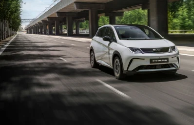BYD Dolphin Base Elettrica