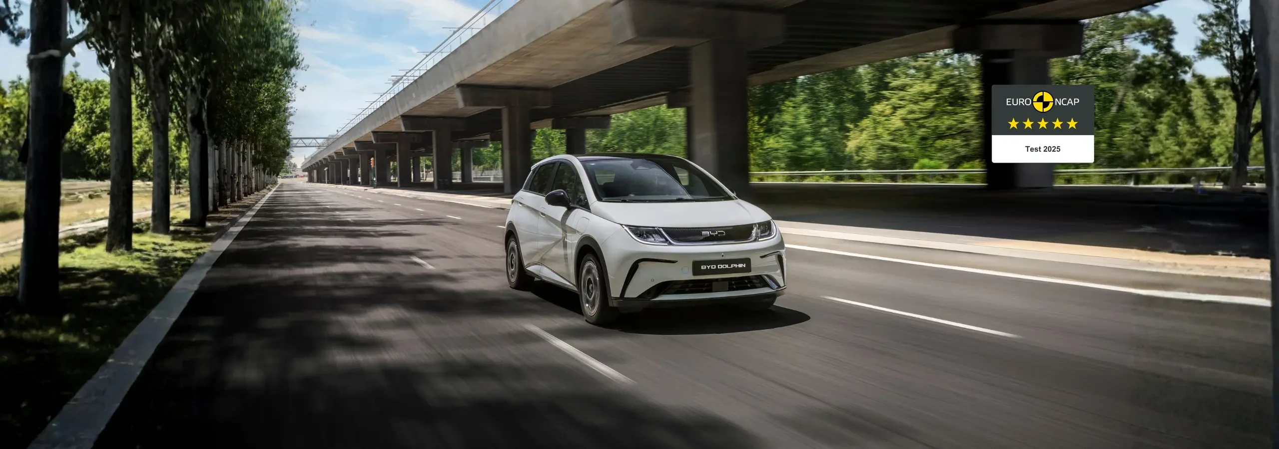 BYD DOLPHIN - La city car elettrica agile e versatile