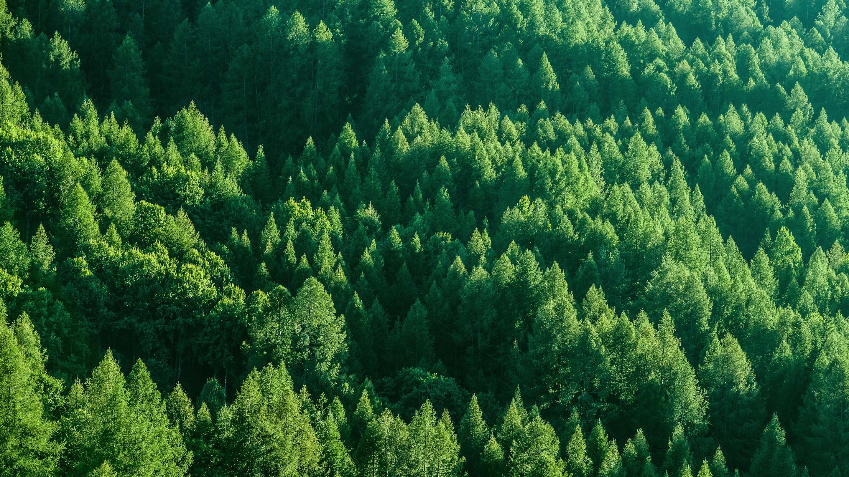 Pollution and Emission Reduction