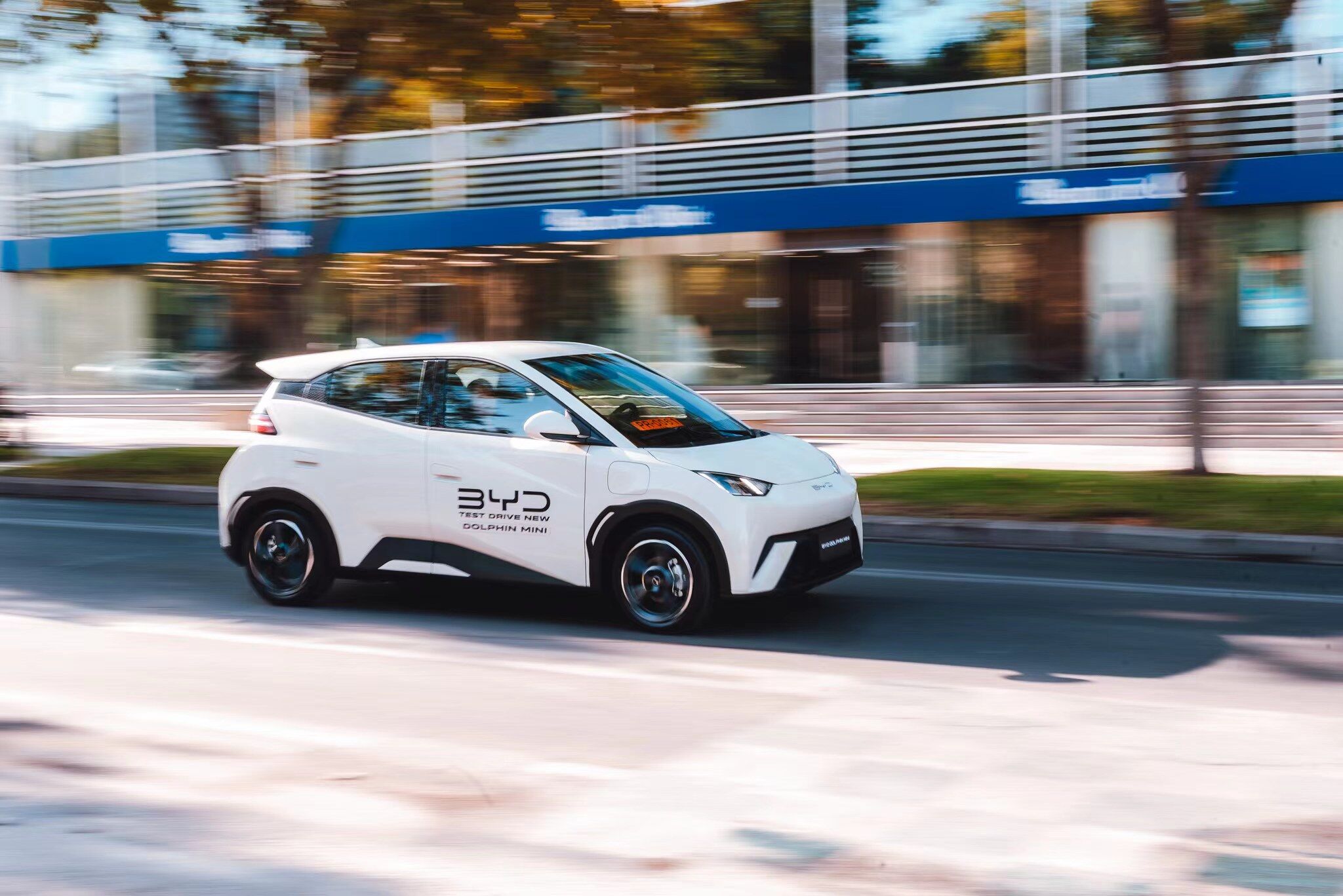 BYD DOLPHIN MINI Launch in Chile