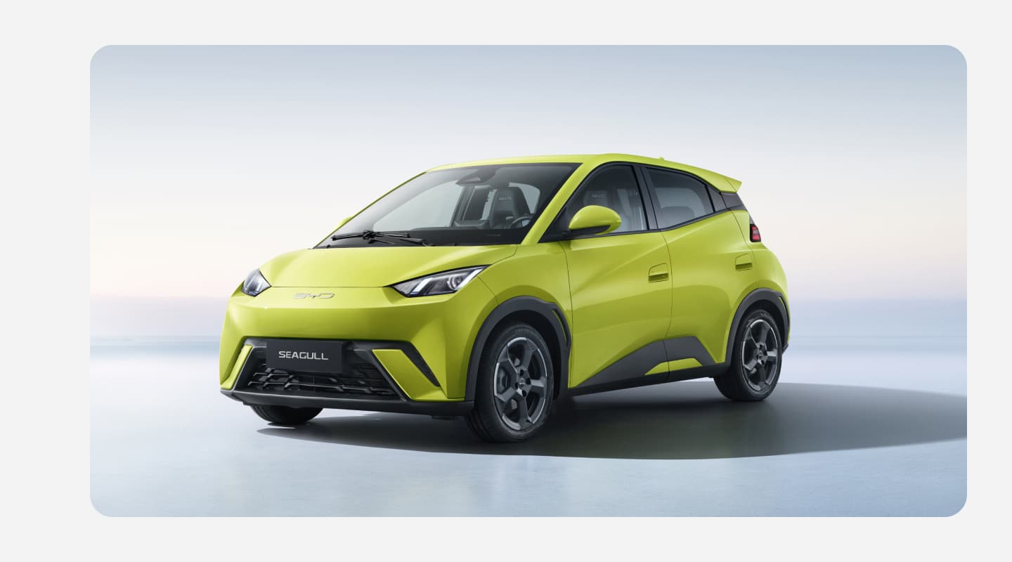 Электронная система стабилизации