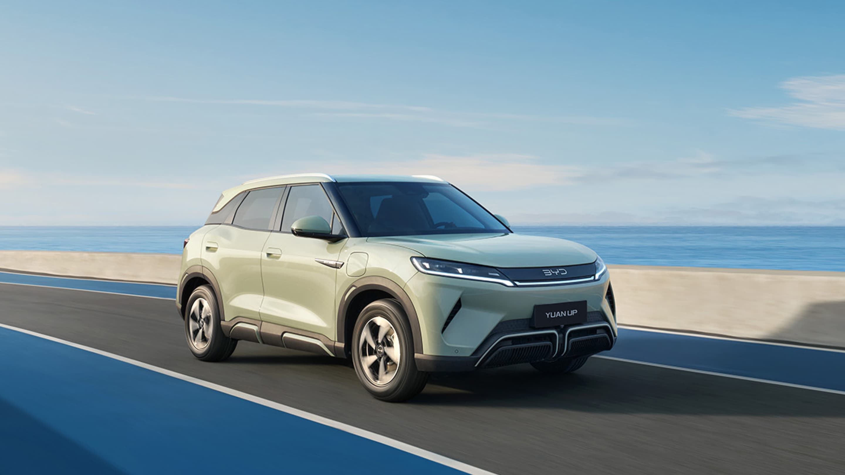 Эстетичный дизайн Dragon Face 