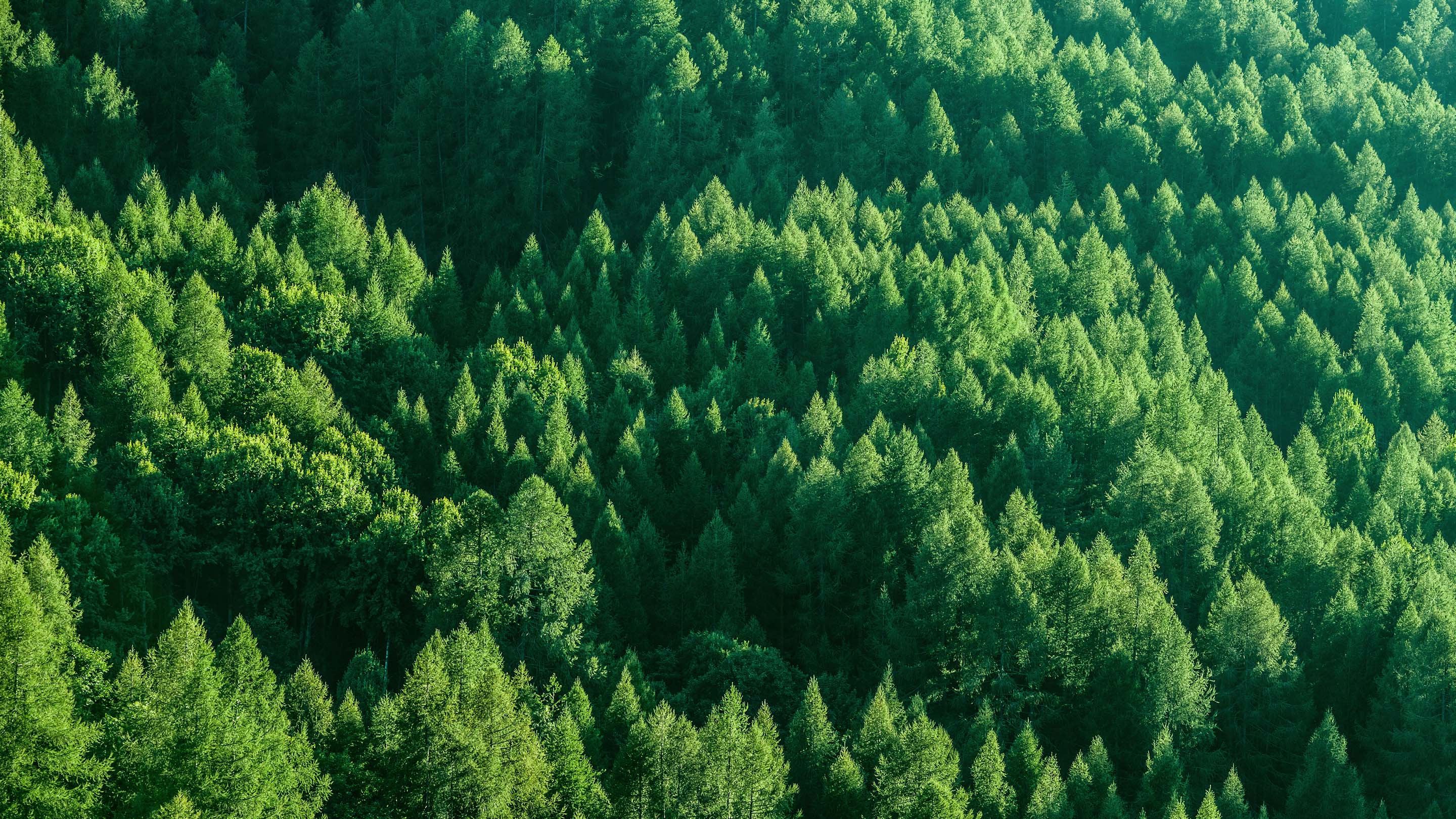 Pollution and Emission Reduction