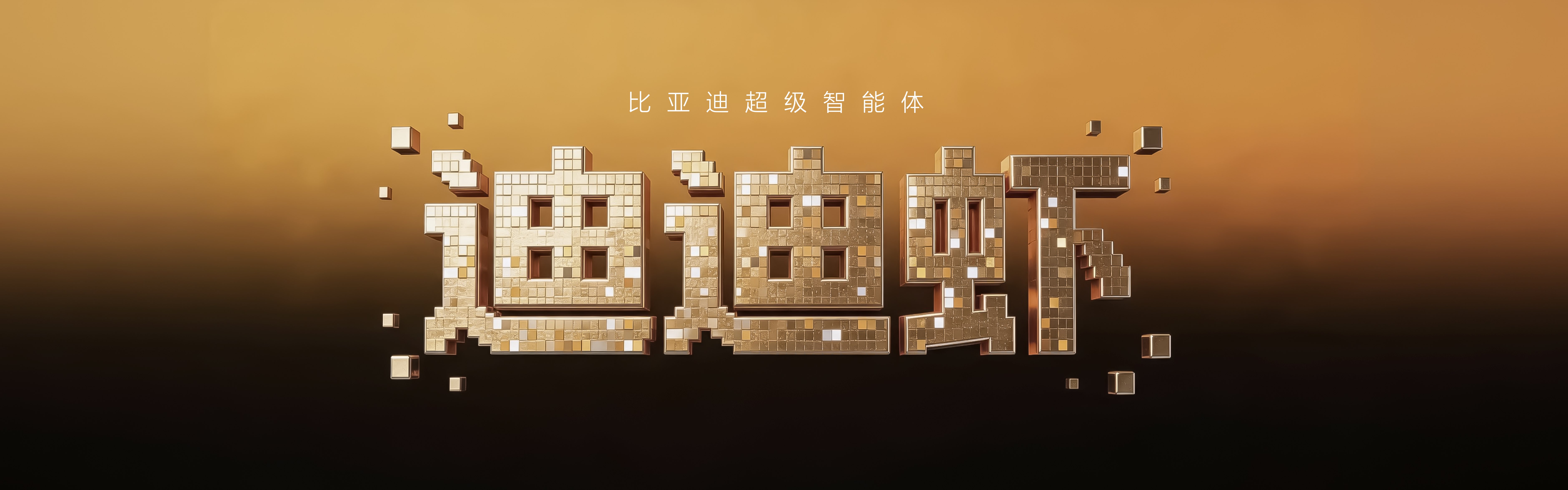 迪迪虾