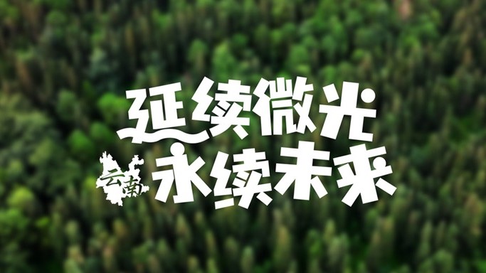 BYD CLUB微光计划云南站｜延续微光，永驻绿意