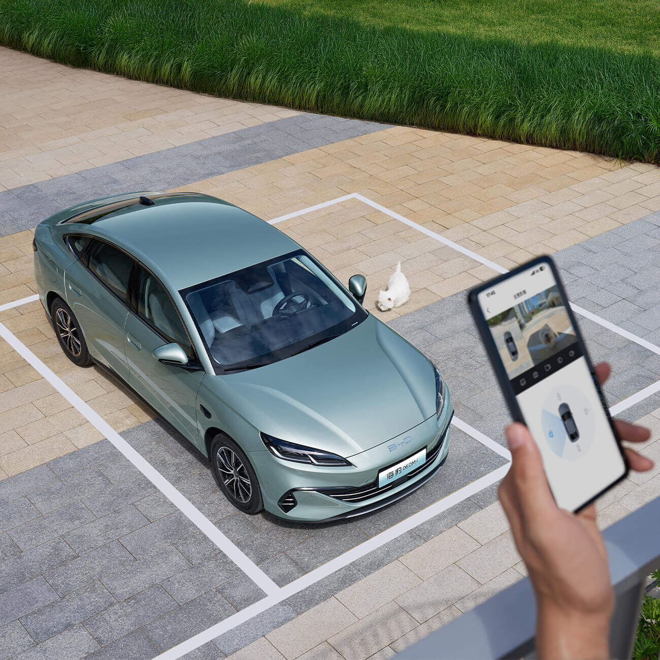 哨兵模式+千里眼