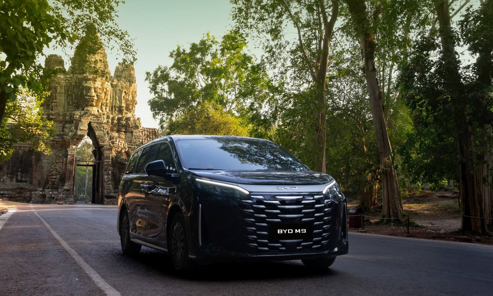 BYD M9